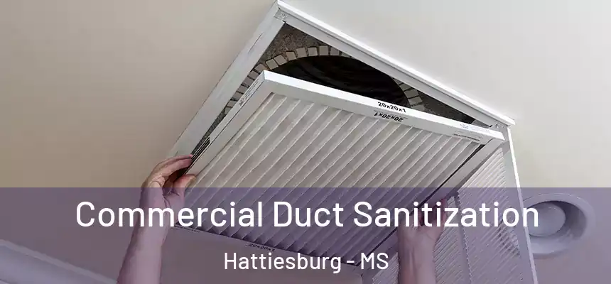  Commercial Duct Sanitization Hattiesburg - MS