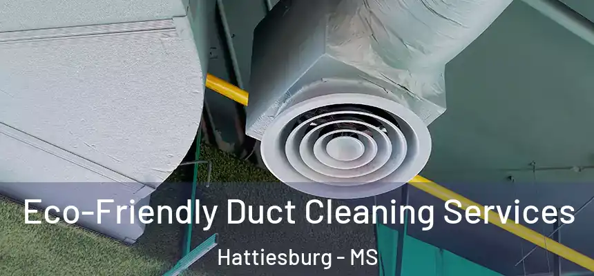  Eco-Friendly Duct Cleaning Services Hattiesburg - MS