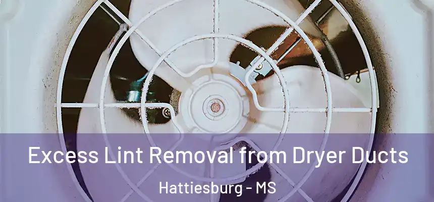  Excess Lint Removal from Dryer Ducts Hattiesburg - MS