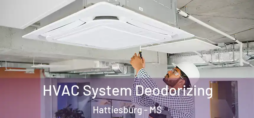 HVAC System Deodorizing Hattiesburg - MS