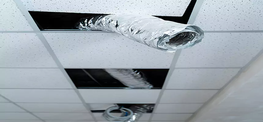 Our Air Duct Pet Hair Removal Services in Hattiesburg, MS