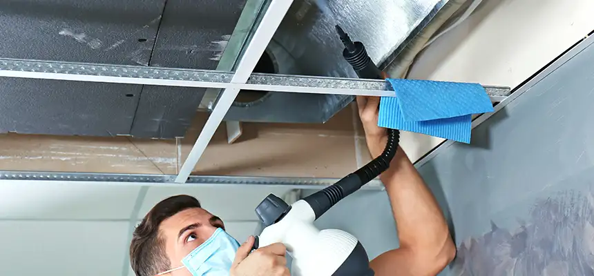 Our Air Duct Rodent Removal Services in Hattiesburg, MS