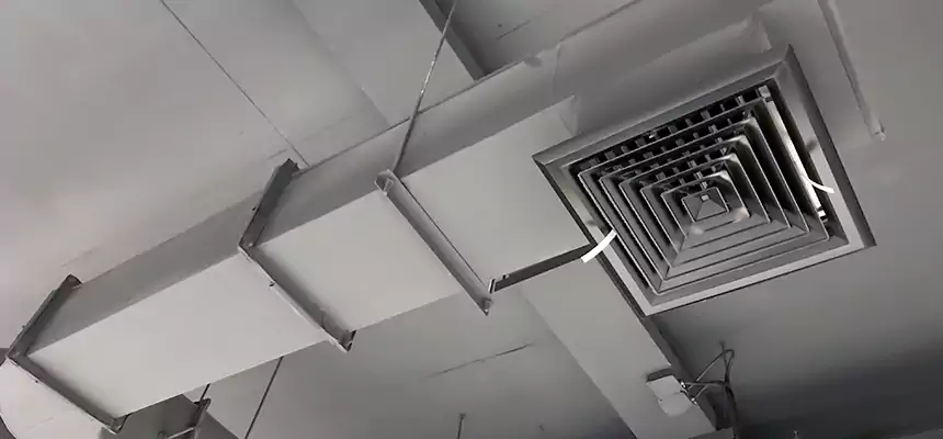 Our Pest Removal From Ducts Services in Hattiesburg, MS