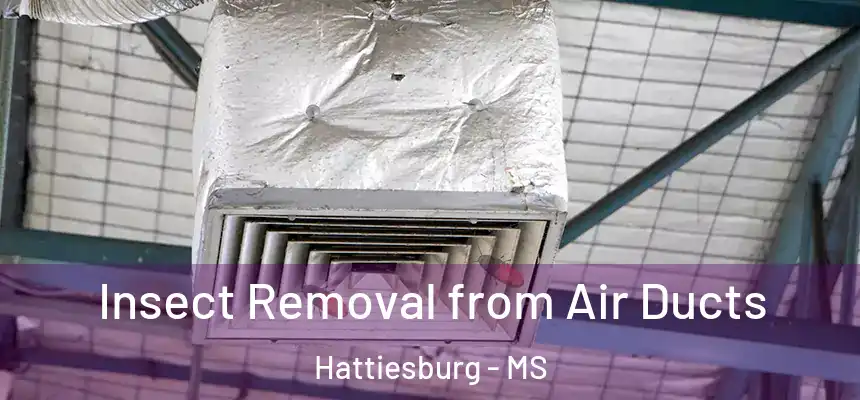 Insect Removal from Air Ducts Hattiesburg - MS