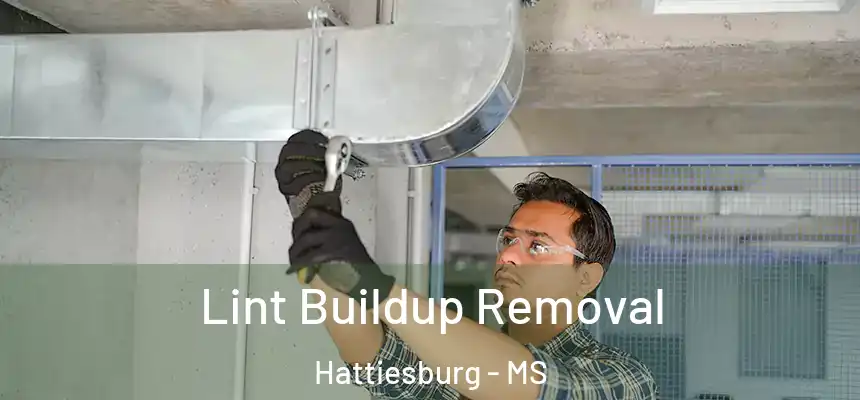 Lint Buildup Removal Hattiesburg - MS