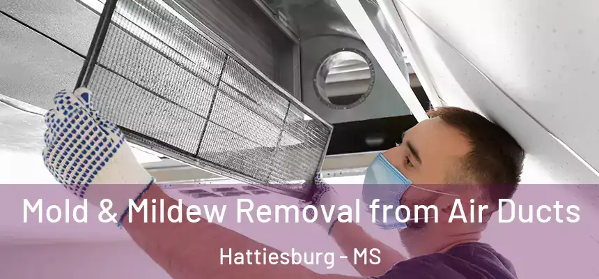  Mold & Mildew Removal from Air Ducts Hattiesburg - MS