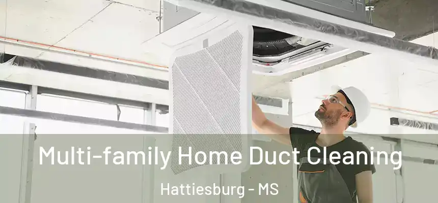 Multi-family Home Duct Cleaning Hattiesburg - MS