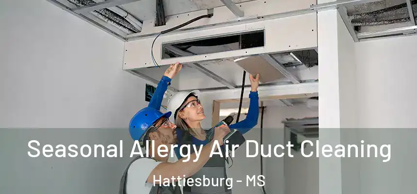 Seasonal Allergy Air Duct Cleaning Hattiesburg - MS