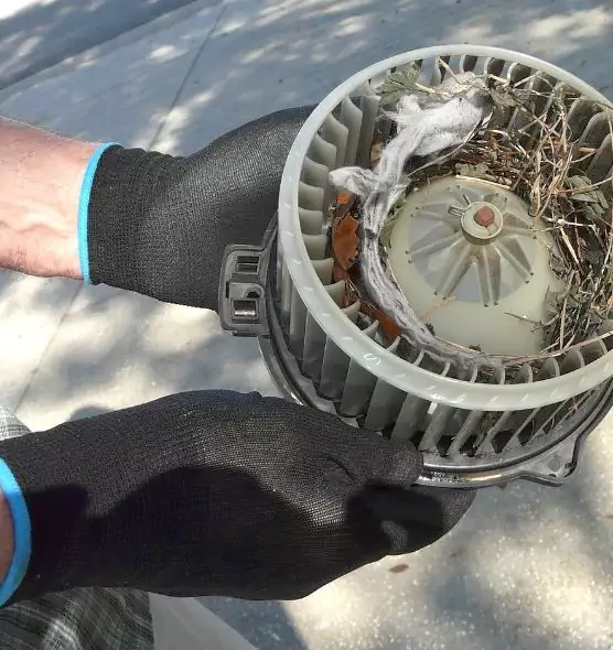 About Air Duct Rat Removal in Hattiesburg, MS