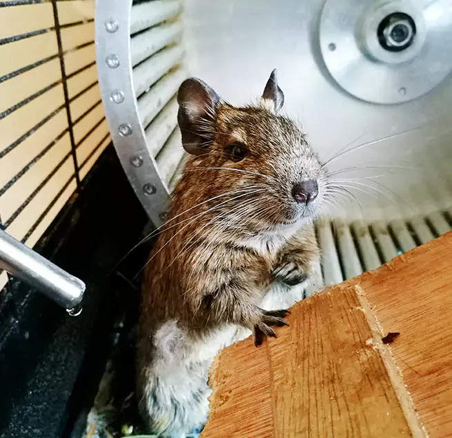 Why Homeowners & Businesses Trust Us Hattiesburg, MS