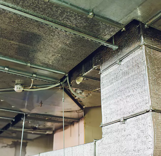 Why Homeowners & Businesses Trust Us in Hattiesburg, MS?