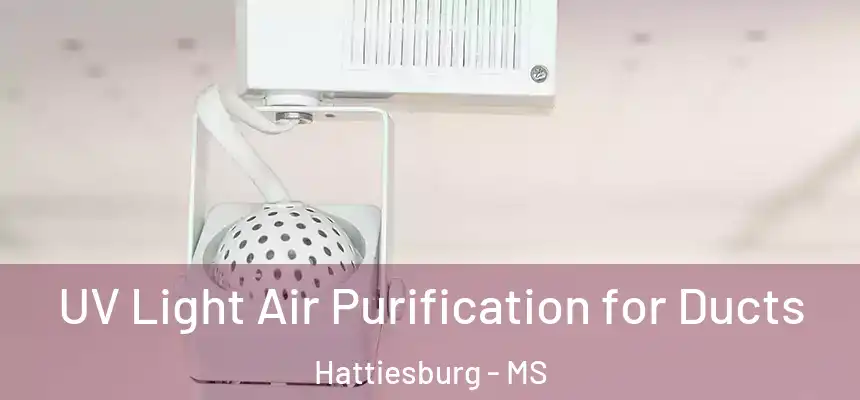 UV Light Air Purification for Ducts Hattiesburg - MS