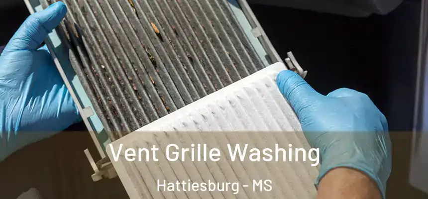  Vent Grille Washing Hattiesburg - MS