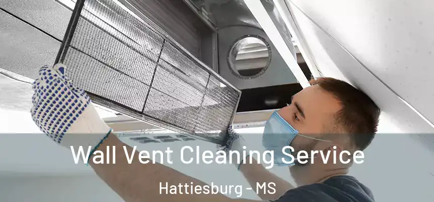  Wall Vent Cleaning Service Hattiesburg - MS
