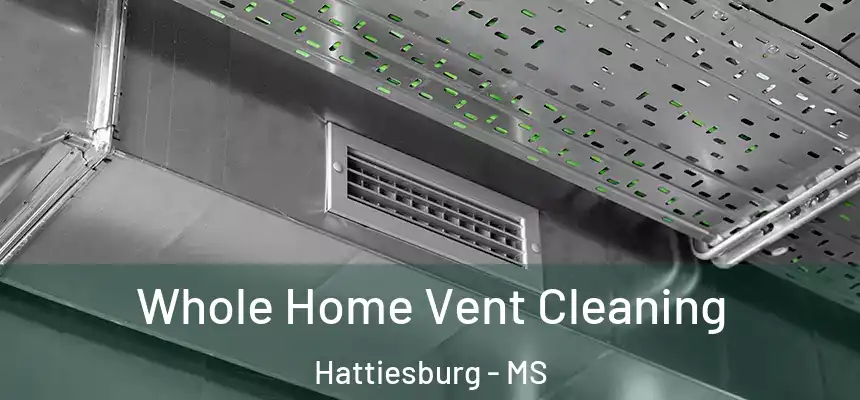  Whole Home Vent Cleaning Hattiesburg - MS